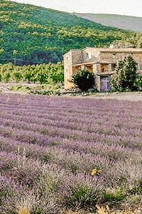 Esperelle 200 1